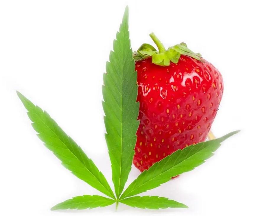 Strawberries and Chocolate With a Cannabis Twist