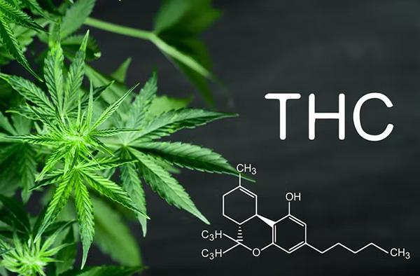 The Dangers of Synthetic Cannabinoids: Stay Safe