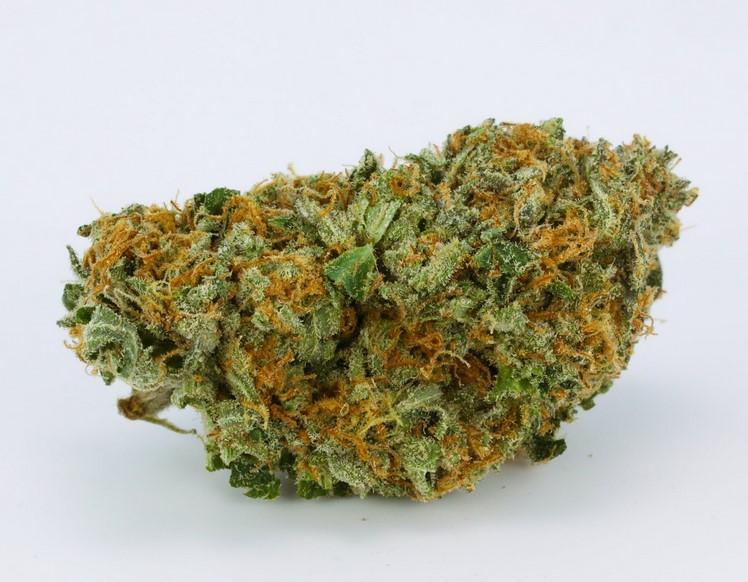 Ewok Weed Strain: Sativa Unrolled and Explained