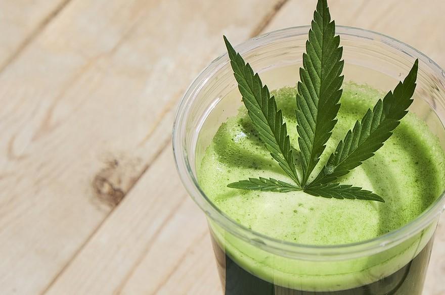 Medicinal Benefits of Bhang: A General Guide