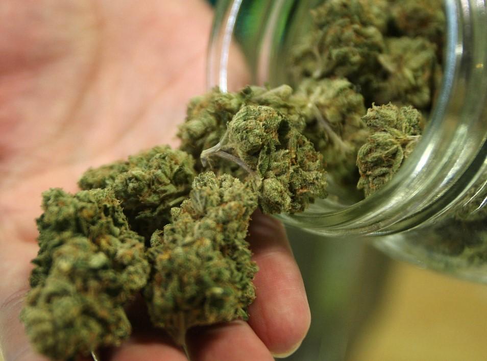 Does Your Cannabis Contain Pesticides? What to Know