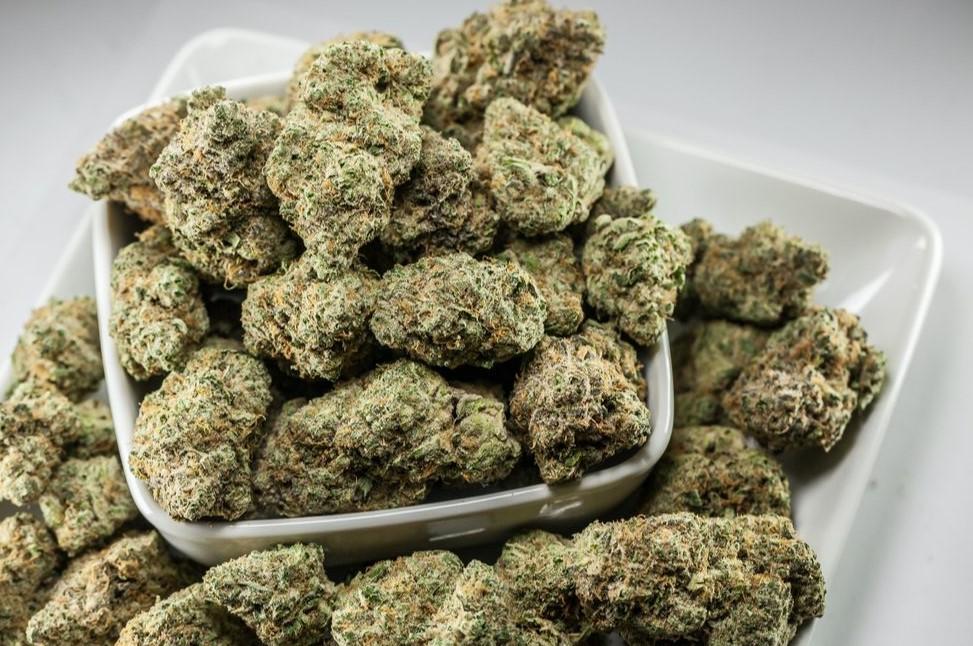 Plant Growth Regulators: What Are PGRs in Cannabis?