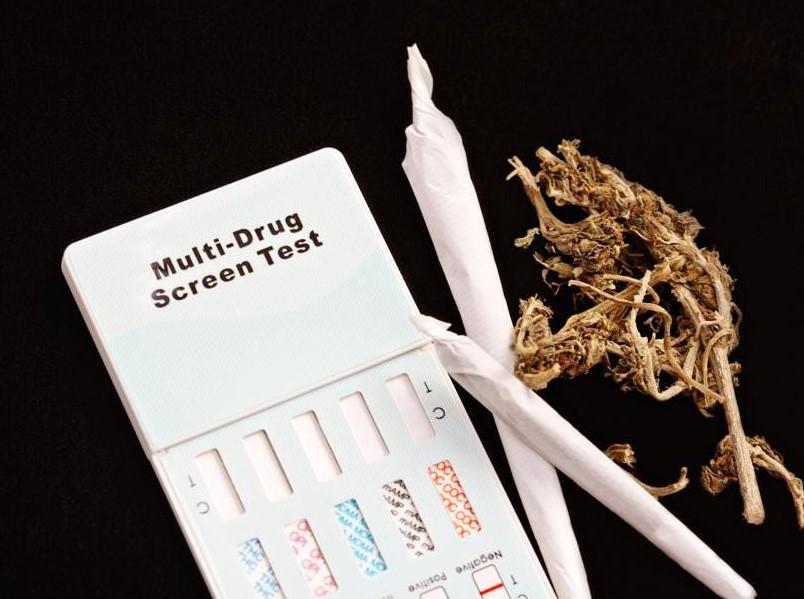 Complete Guide to Cannabis Drug Tests and Screening