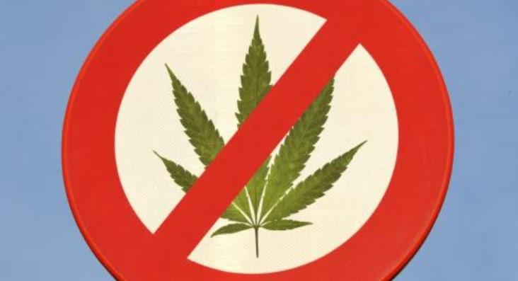 The History of Cannabis Prohibition in Canada