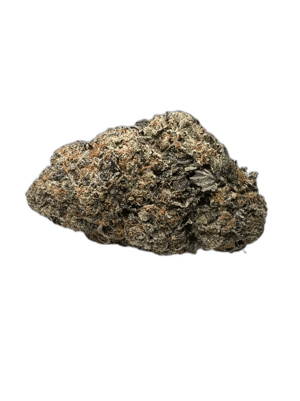 Super Nova Indica