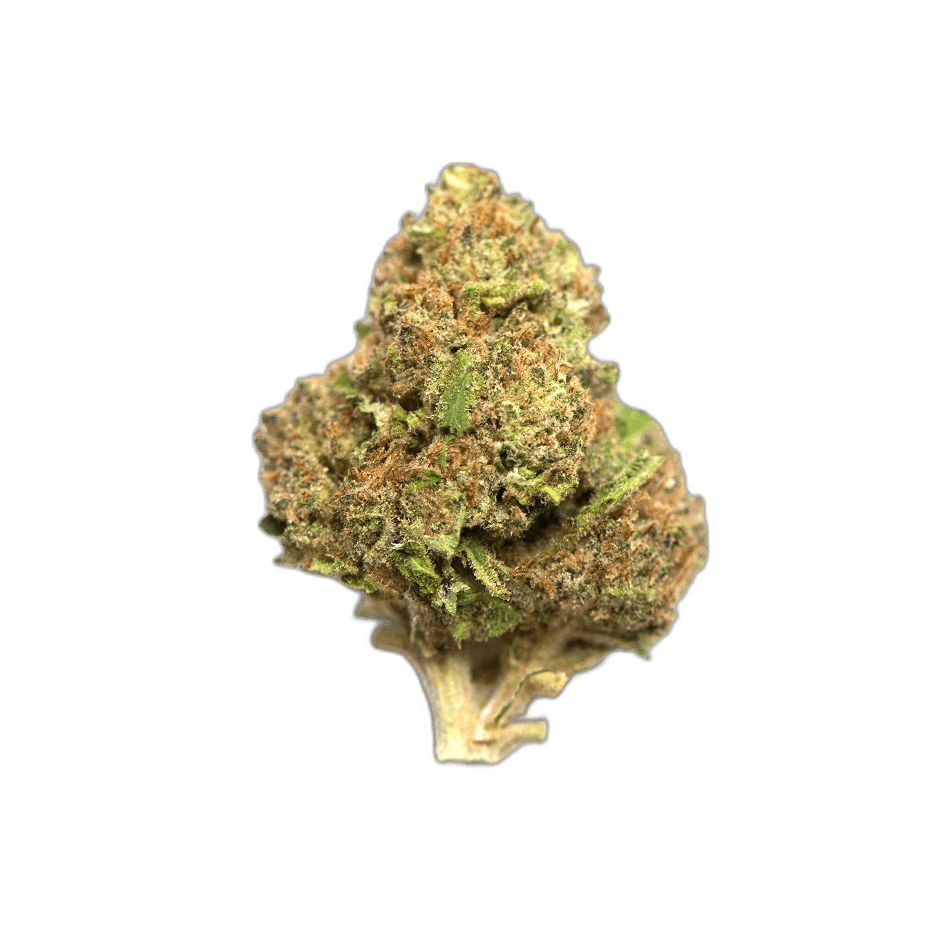 Ameri Cannabis Review and How GasDank Compares
