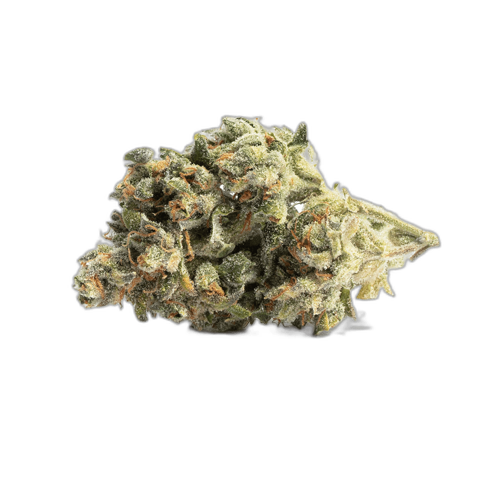 lemon dropssativabulk