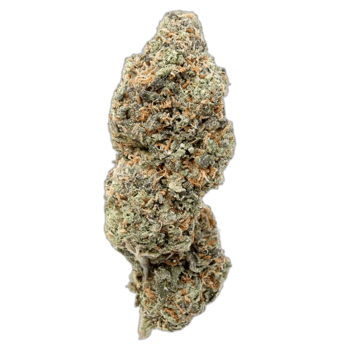 AYAHUASCA PURPLE 1024X1024 2KAMIKAZI 1 WEED DELIVERY TORONTO