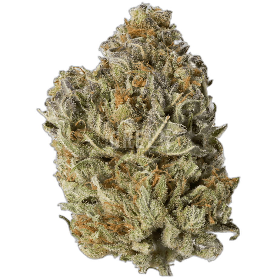 Afghan Kush