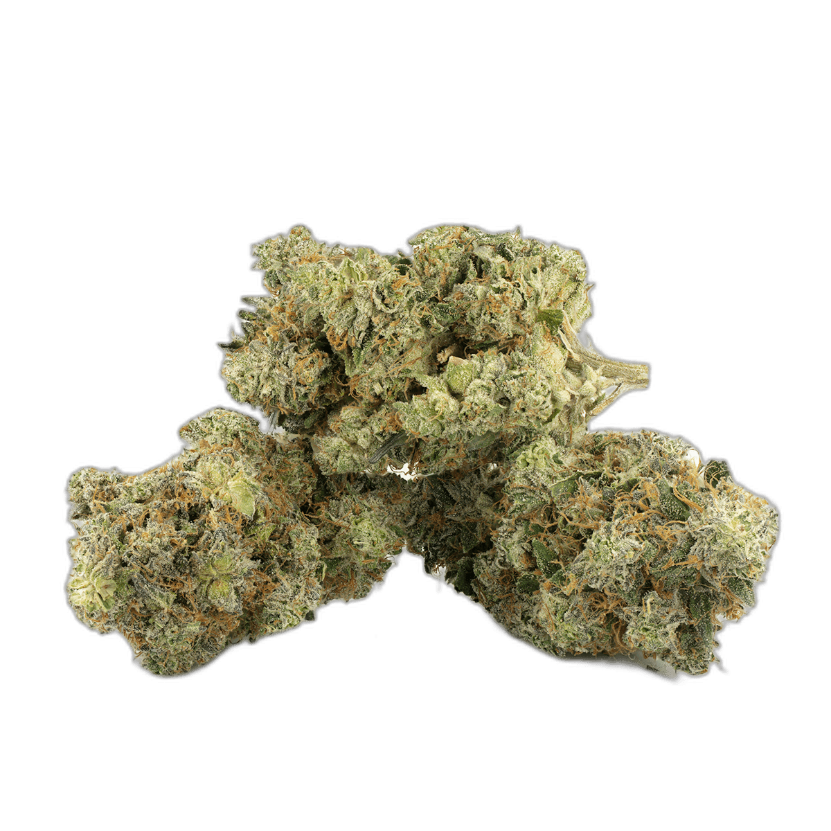 Astro Pink Kush by Pluto Craft Cannabis Strain Multi Shot