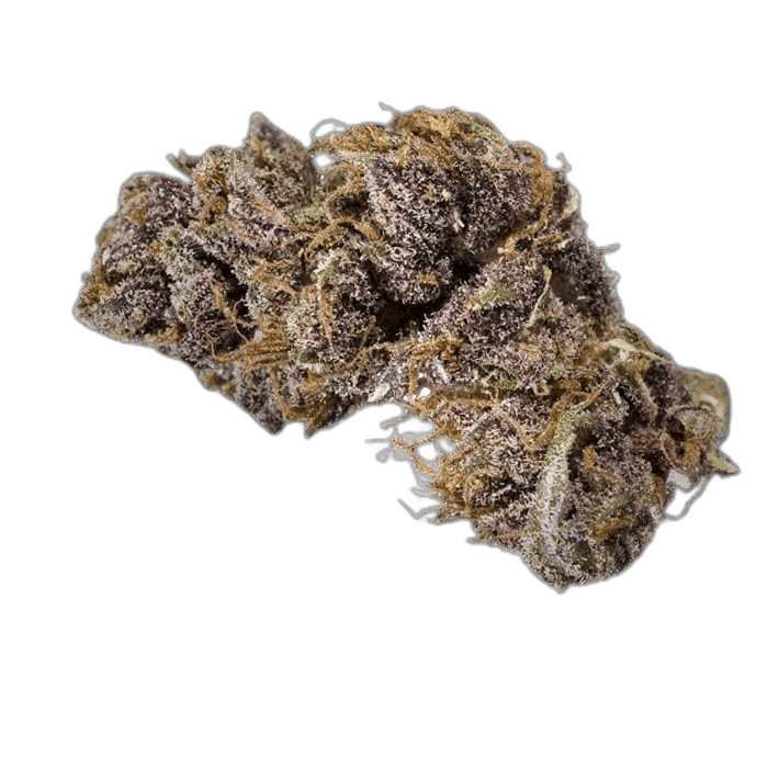 BLACK DOMINAKAMIKAZI 143 WEED DELIVERY TORONTO