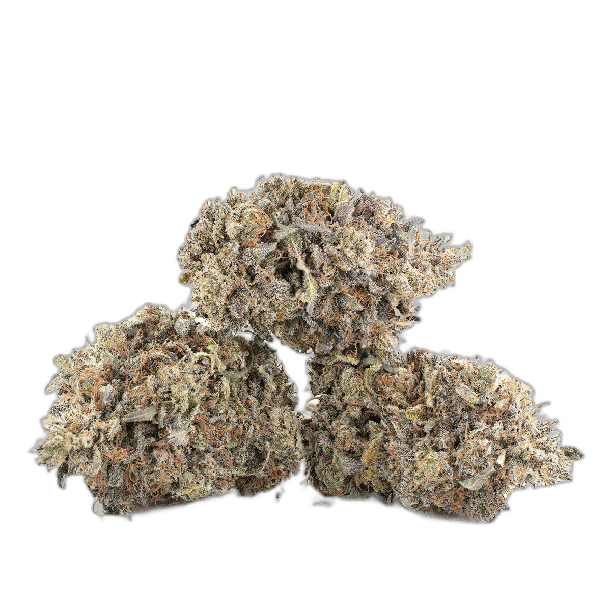 Black Cherry Soda Multi Shot