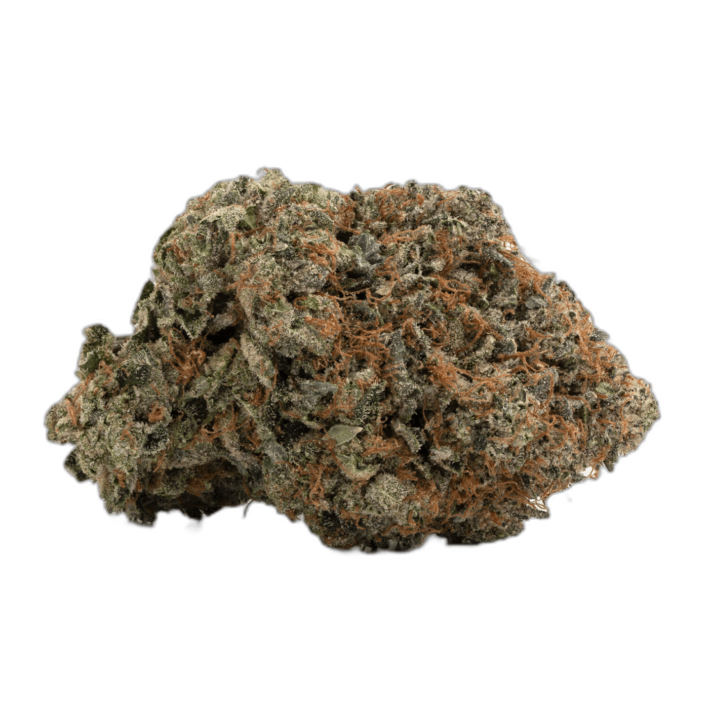 Black Tuna