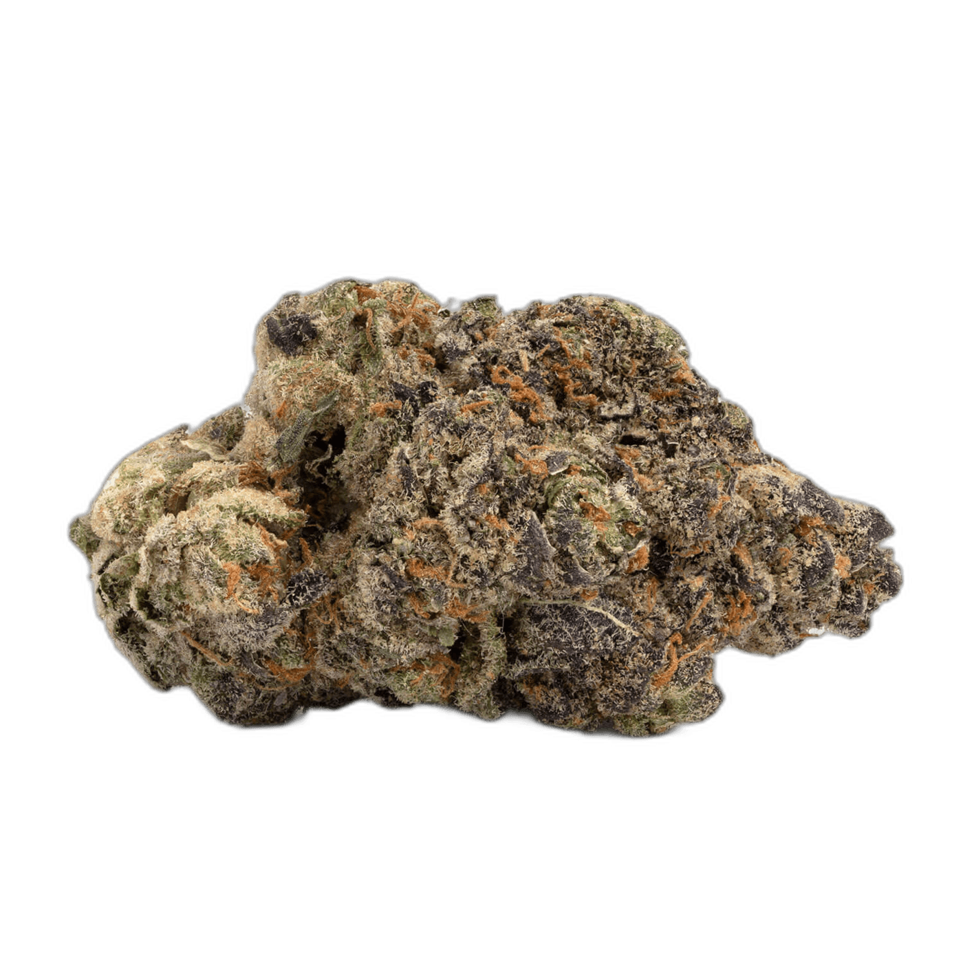 Blackberry Kush 2