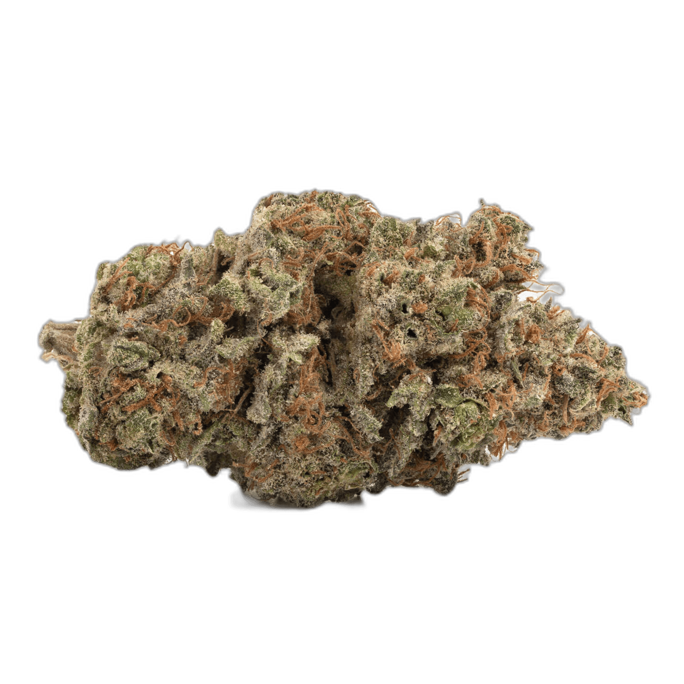 Blueberry 2