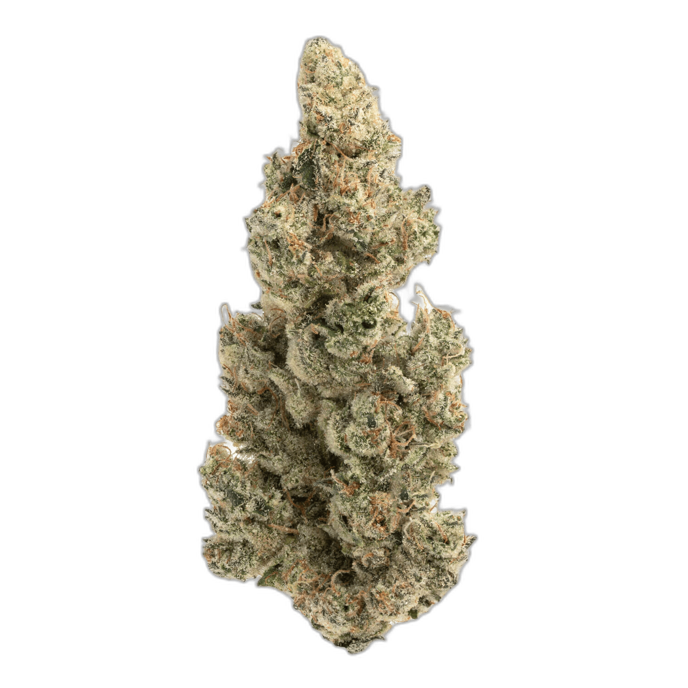Bubble Gum Sherb