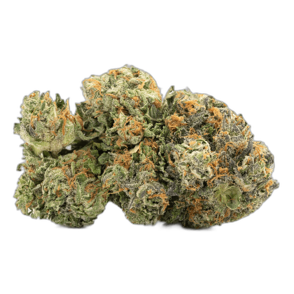 Critical Kush 2.0