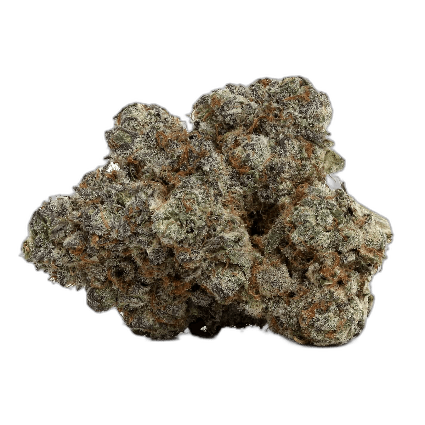 Crystal Coma 1