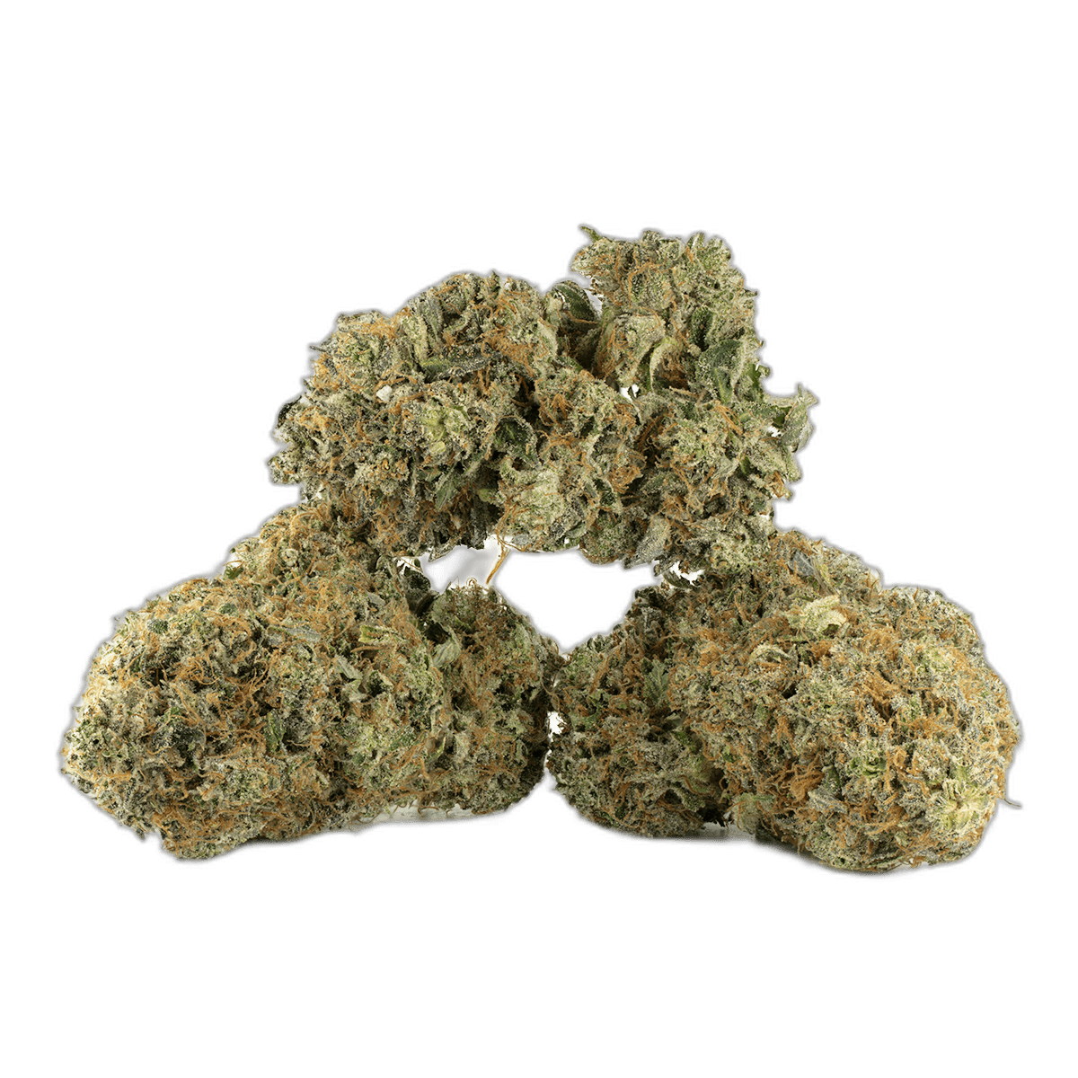 Fatso by Pluto Craft Cannabis Multi Shot
