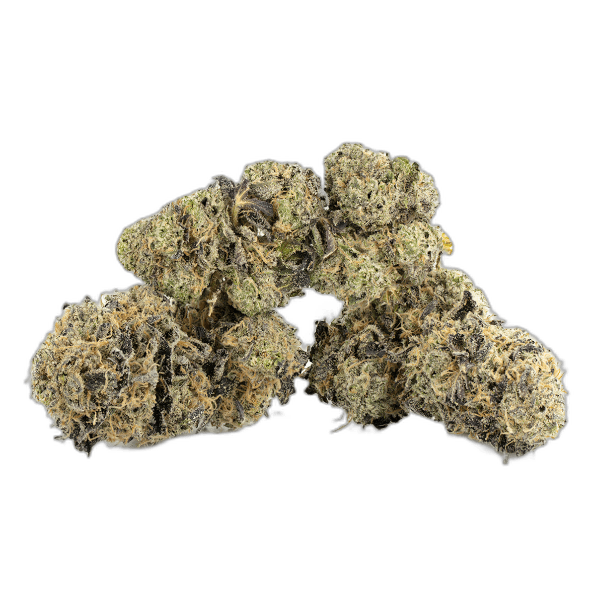 Gelato 33 Strain Multi Shot
