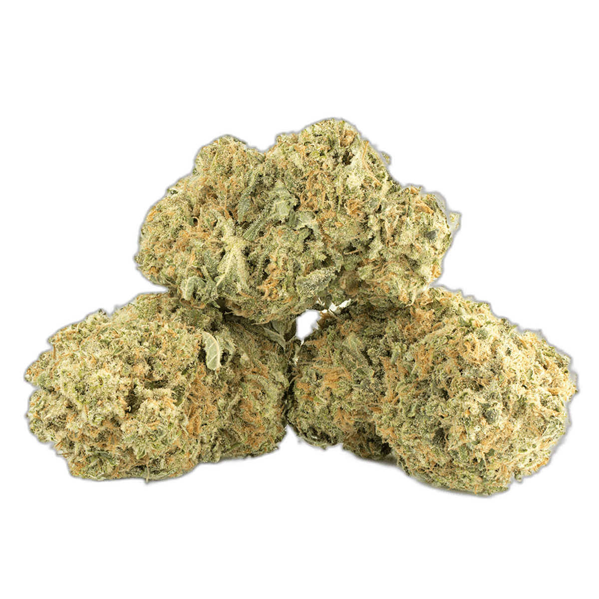 Girl Scout Cookies Multi Shot