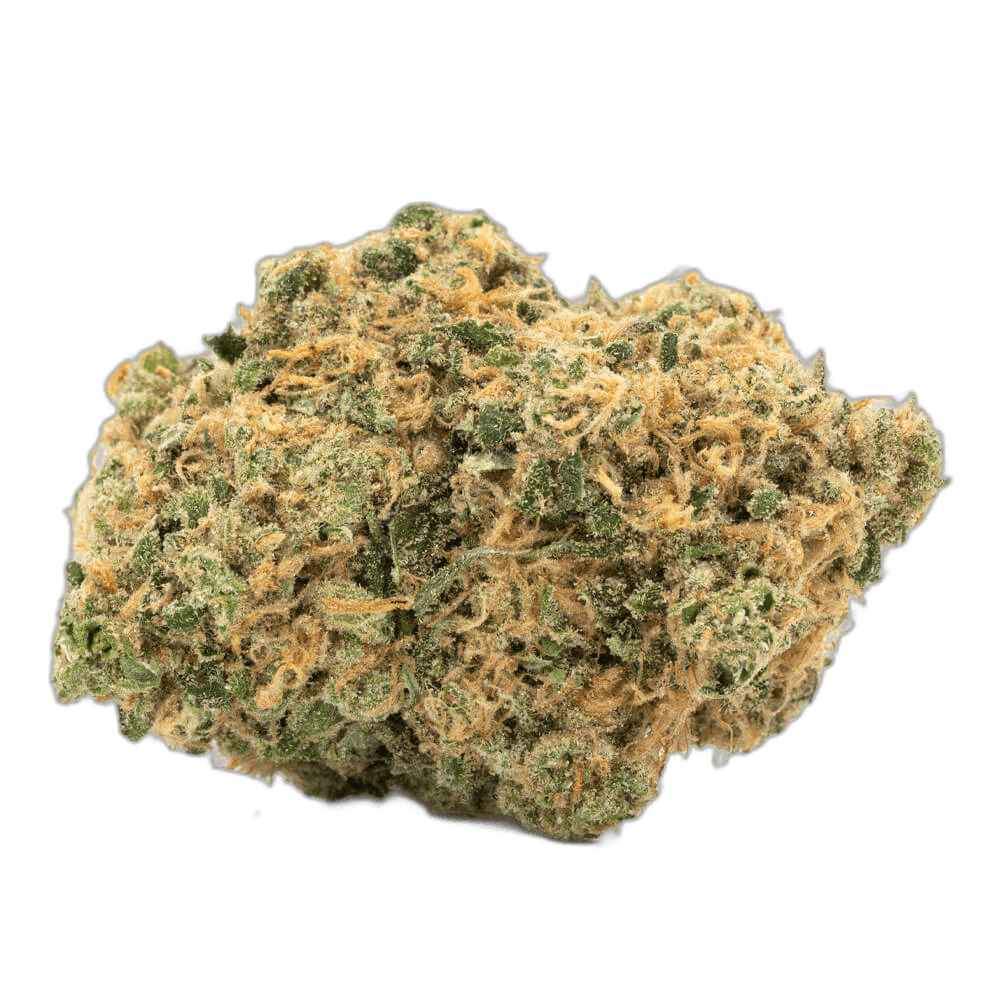 Hashplant