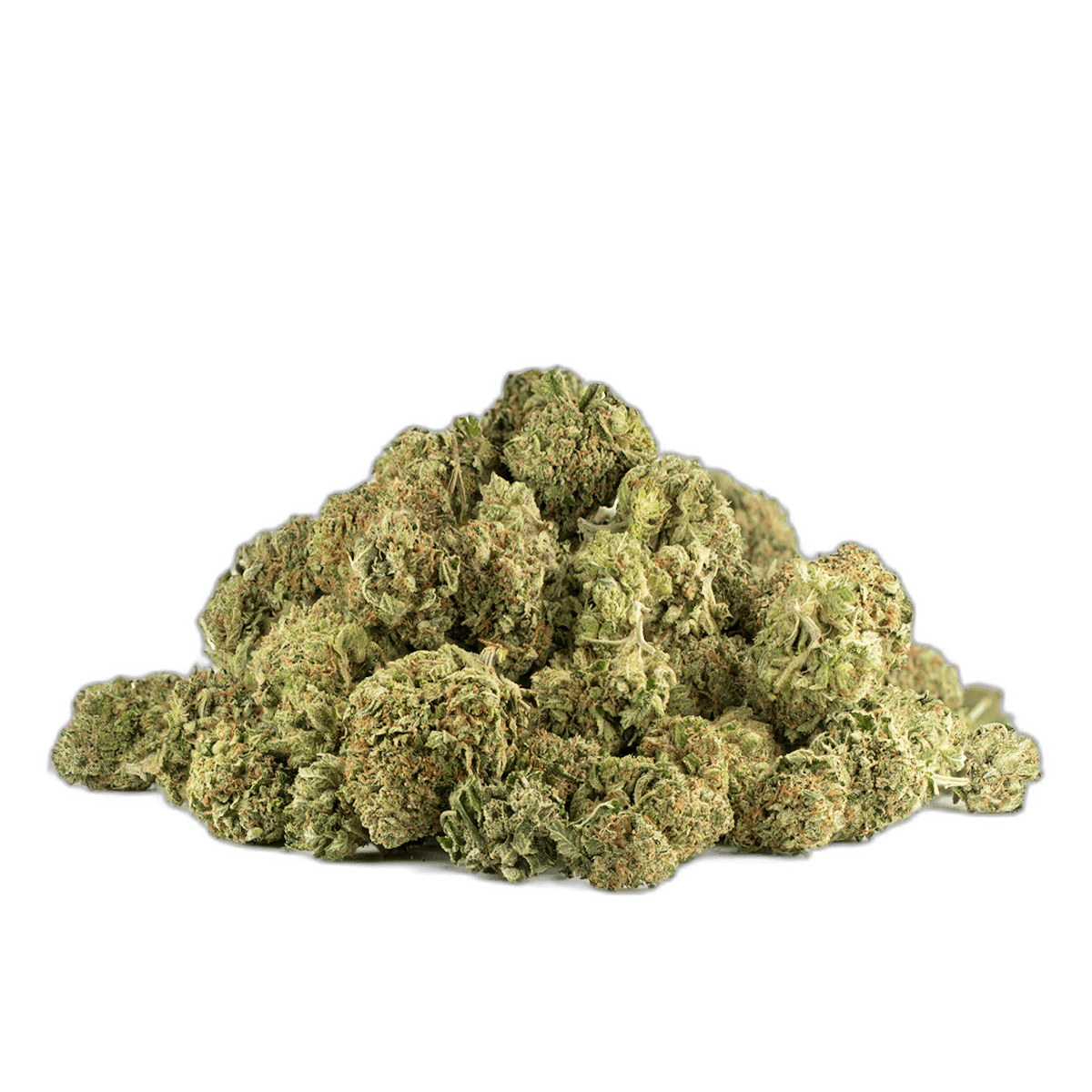 Hindu Kush Multi Shot