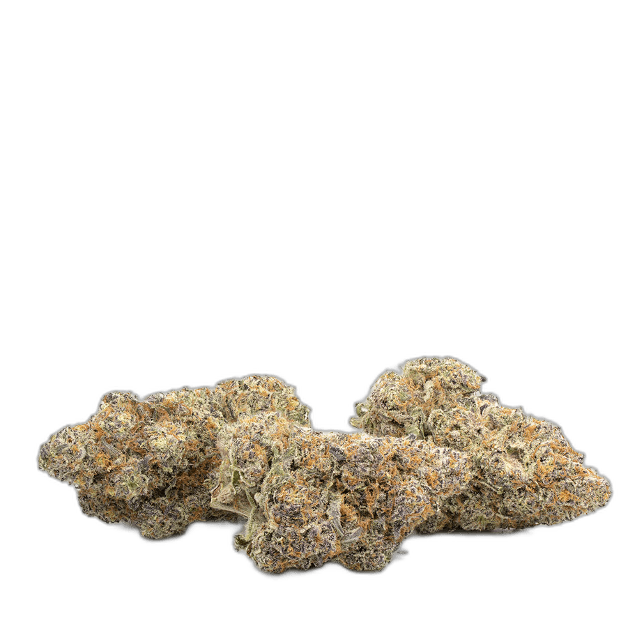 Jelly Breath by Exotic Genetix Multi