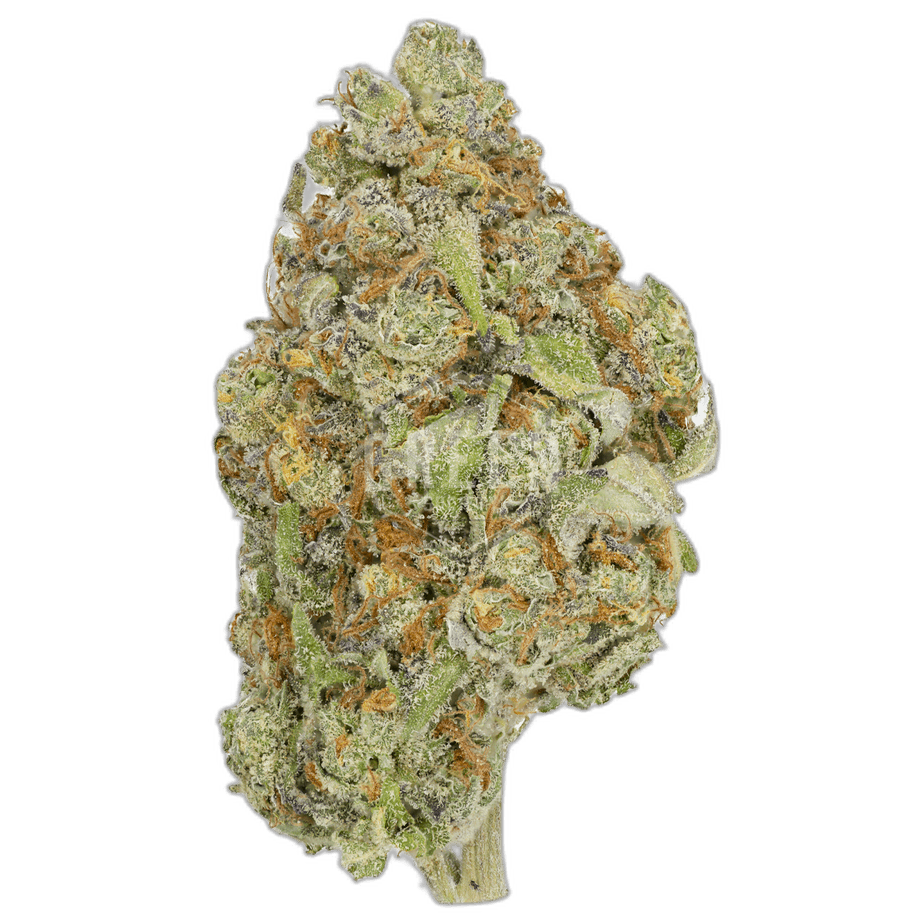 Juicy Fruit Strain