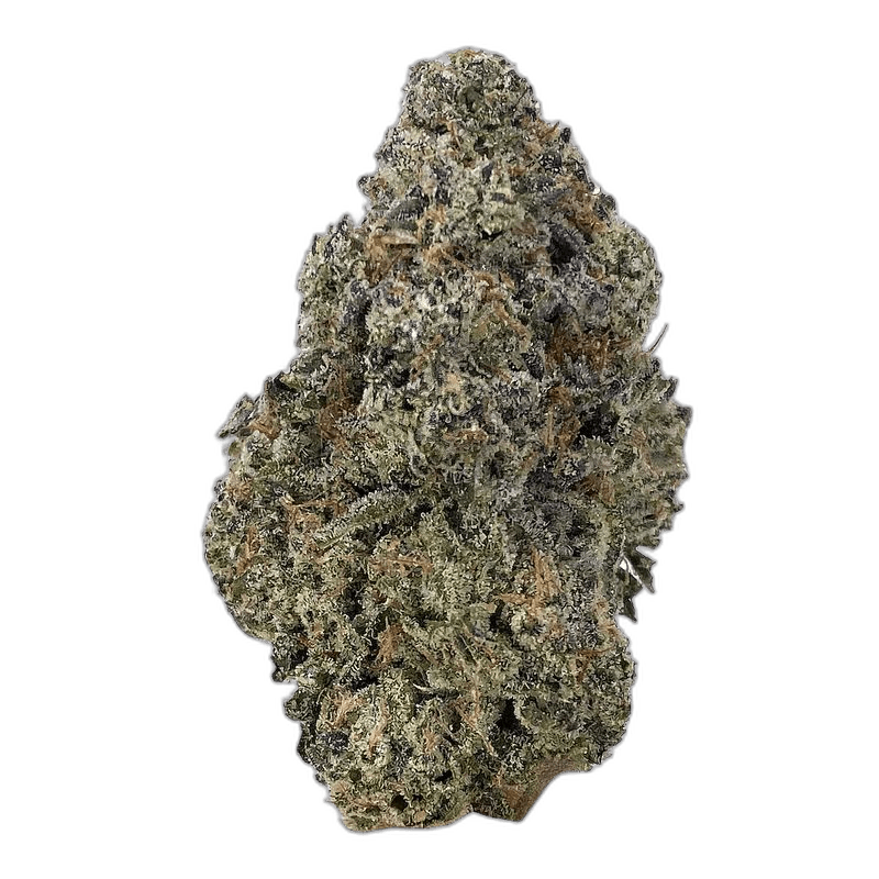 KAMIKAZI ARJIANS HAZE 1.JPG 601