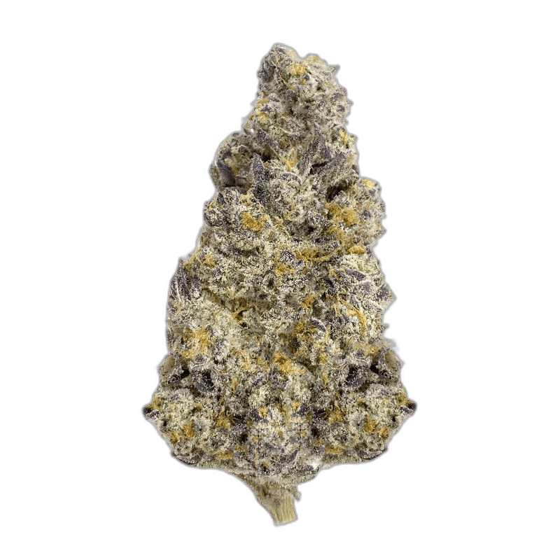 Purple Biscotti