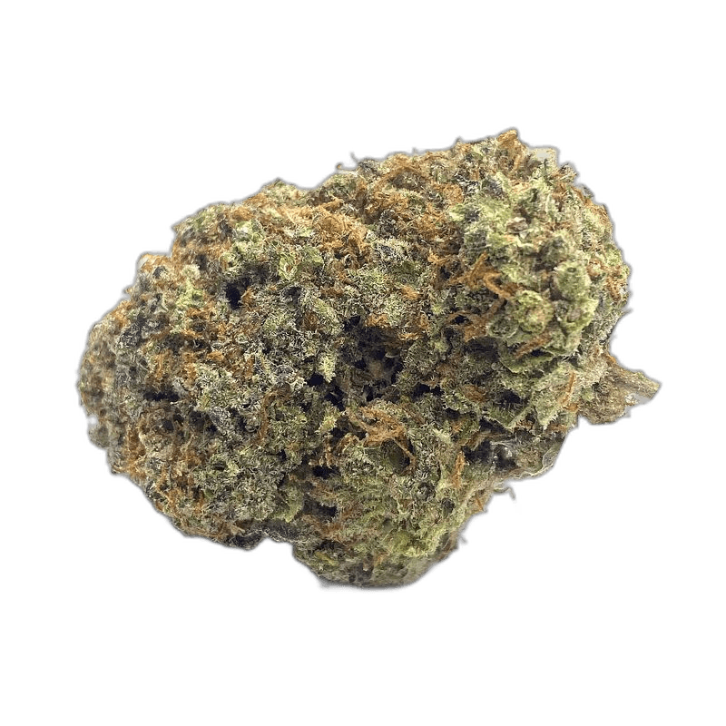 KAMIKAZI BUBBLEGUM KUSH 1.JPG 1601