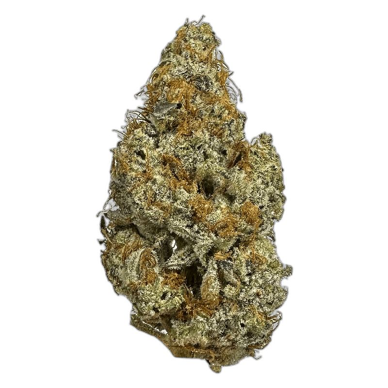 KAMIKAZI GARLIC BREATH 13.JPG 756