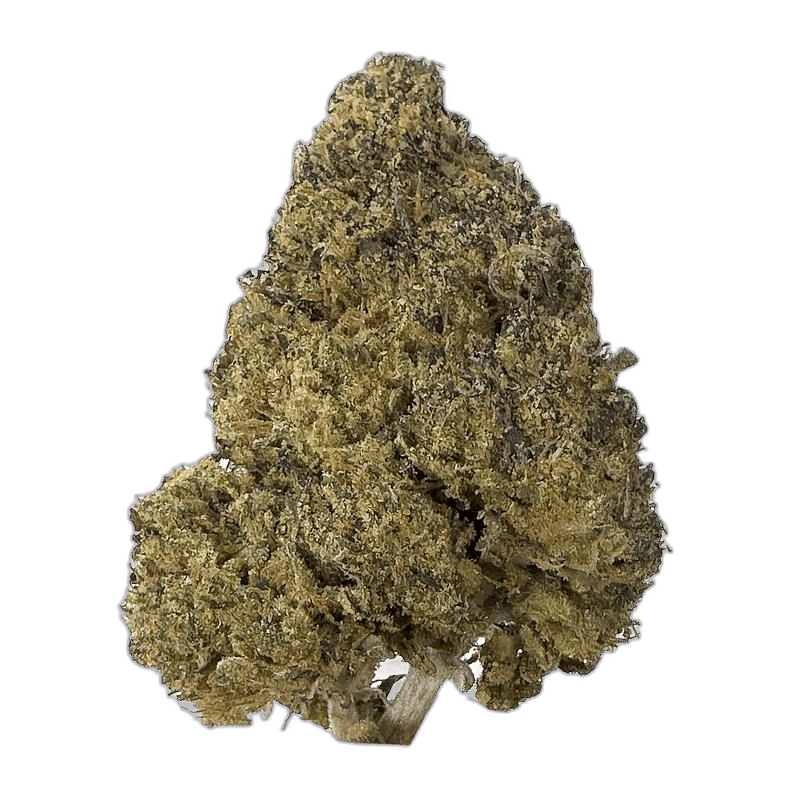 Weed delivery in North York