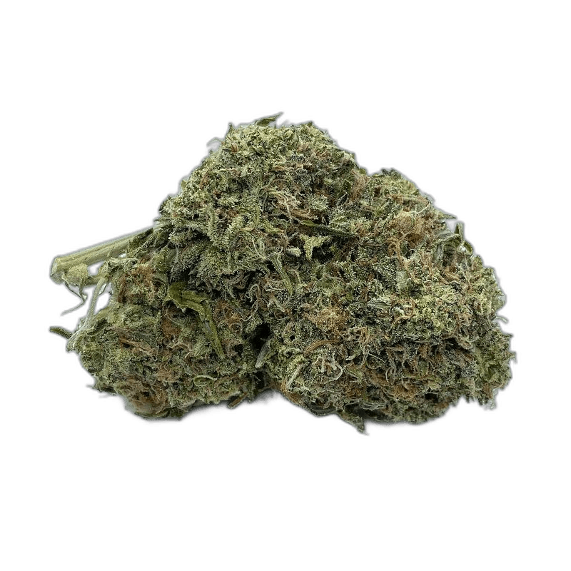 KAMIKAZI KAMIKAZI PINK COOKIES 1.JPG 2347 2.JPG 101