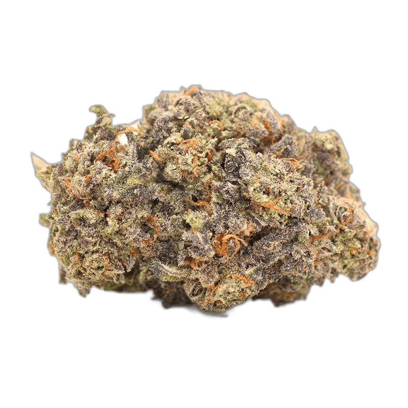 KAMIKAZI LA KUSH POPS 1.JPG 590