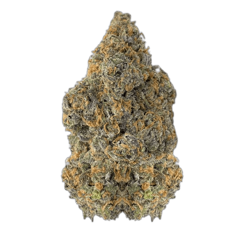 KAMIKAZI LEMON SKUNK 11.JPG 2749