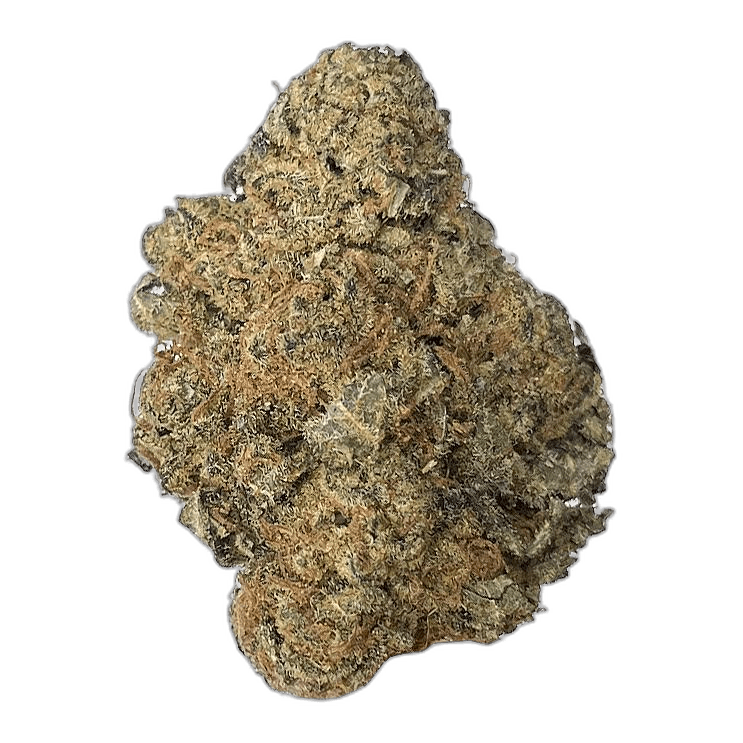 KAMIKAZI OG KUSH 3.JPG 359
