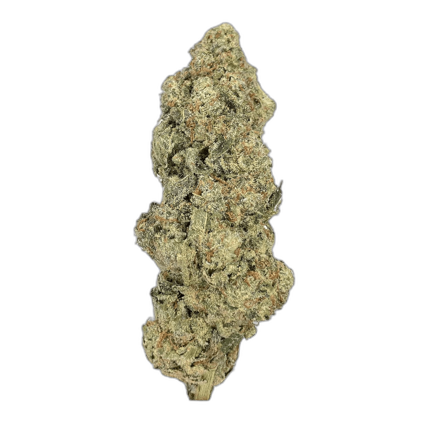 KAMIKAZI PINK GAS 1.JPG 738