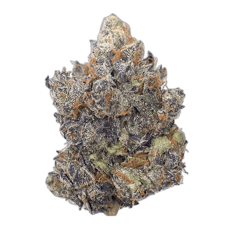 KAMIKAZI PINK SHERBET 2.JPG 477