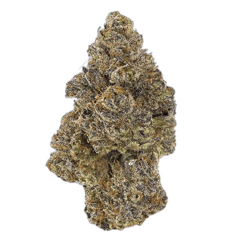 KAMIKAZI PLATINUM KUSH BREATH 1.JPG 748