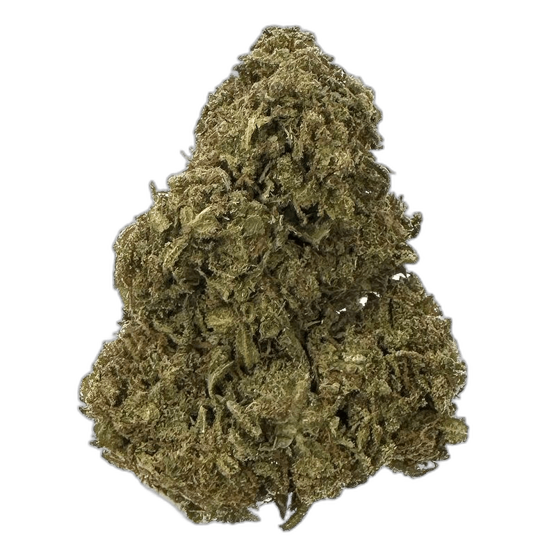 KAMIKAZI PURPLE KUSH 12.JPG 833