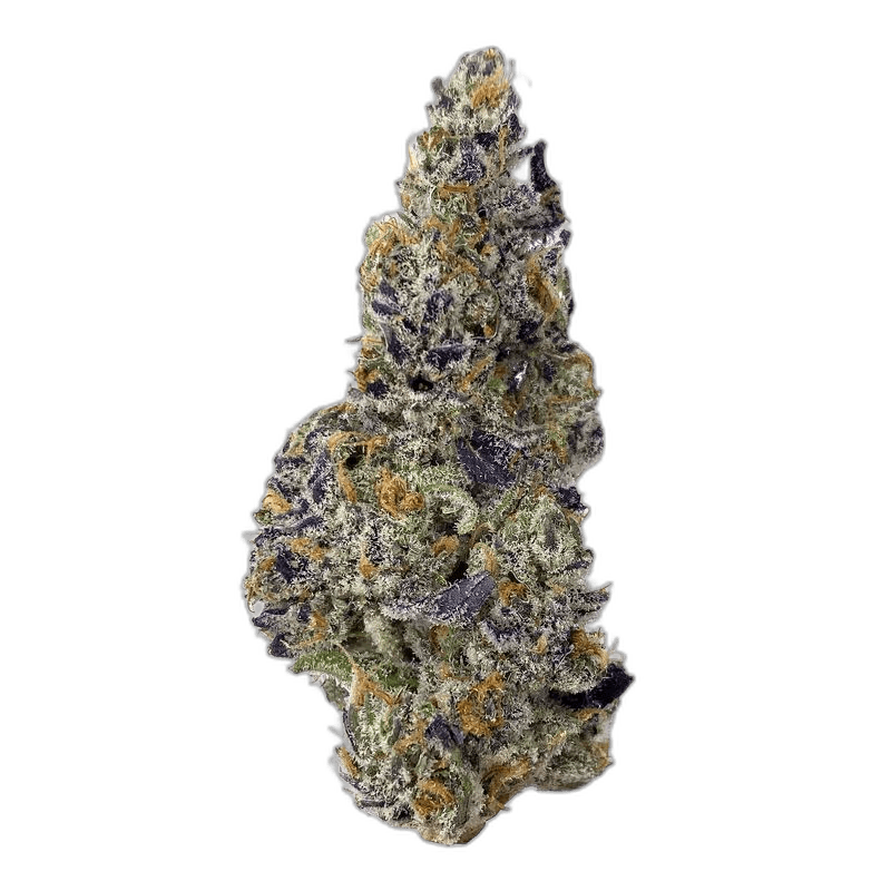 KAMIKAZI TANGERINE TWIST 1.JPG 2430