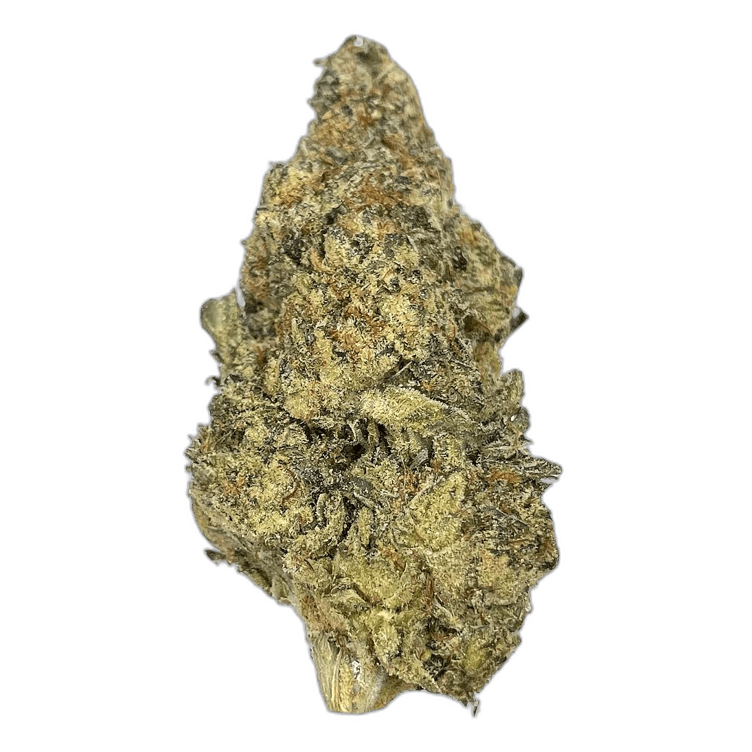 KAMIKAZI THIN MINT GIRL SCOUT COOKIES 1.JPG 534