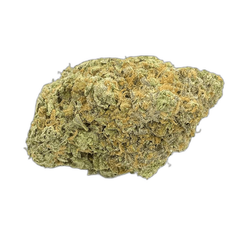 KAMIKAZI ZOMBIE OG1.JPG 931
