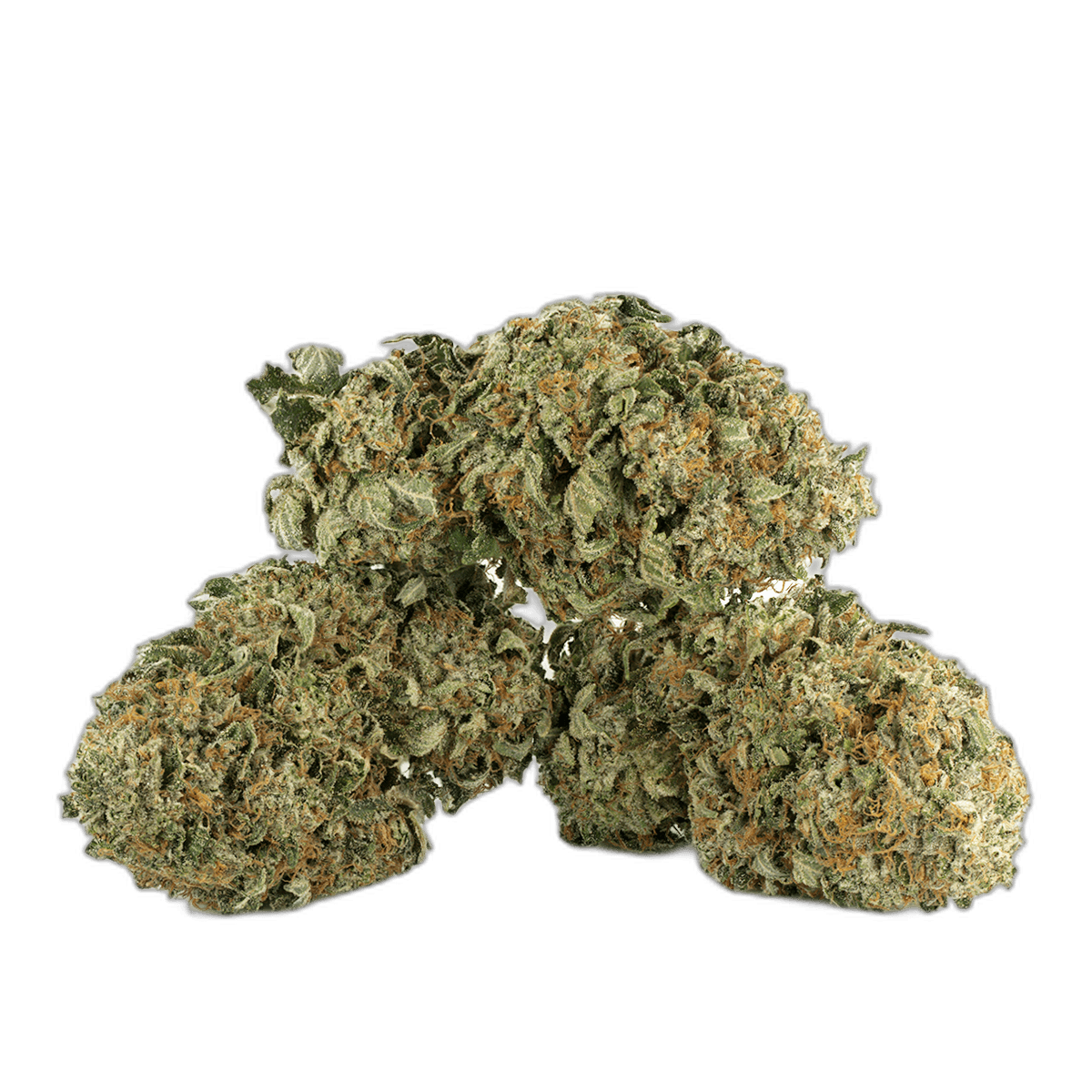 King Louis XIII Strain Multi Shot