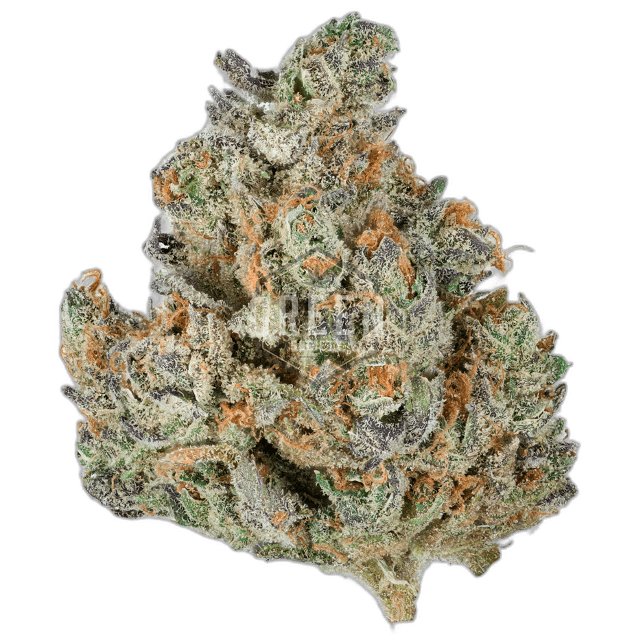 Kush Mints Strain