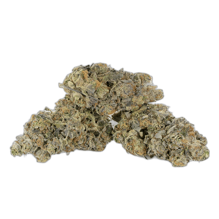 Lava Cake 11 Multi Shot