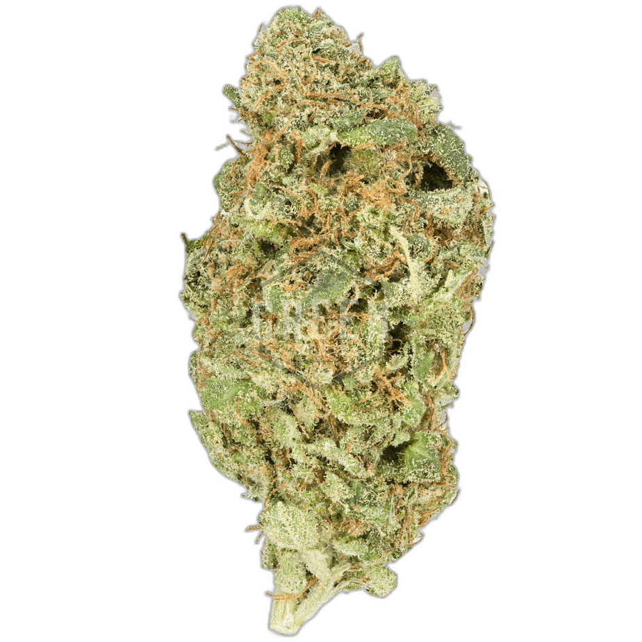 Lemon Haze Strain