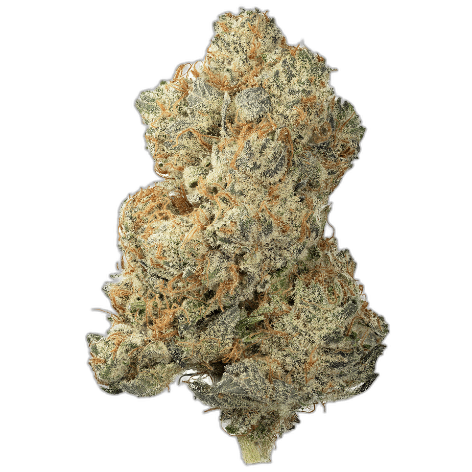 Lemon Skunk
